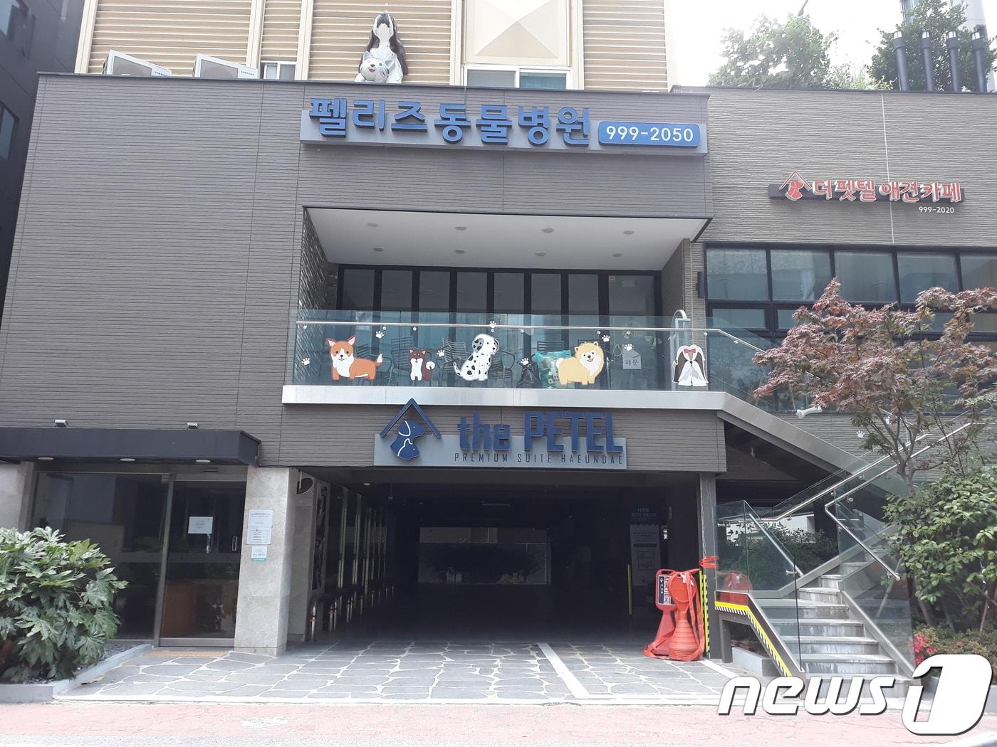 본문 이미지 - 국내 최초 애견동반 전용호텔인 '더펫텔'의 전경. 지난 4월5일부터 영업을 중단했다. ⓒ 뉴스1 최서윤 기자