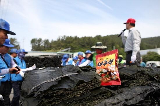 본문 이미지 - 전남 완도군 금일도 햇다시마 경매현장(자료제공=농심)ⓒ 뉴스1