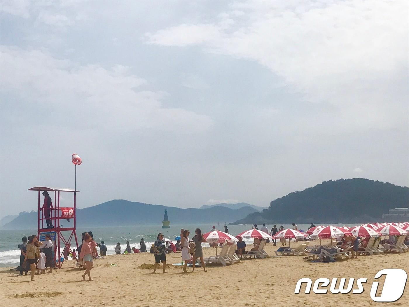 본문 이미지 - 장마가 물러난 뒤 피서객들이 해운대해수욕장을 찾아 더위를 식히고 있다.2019.06.30 ./ⓒ뉴스1 박세진 기자