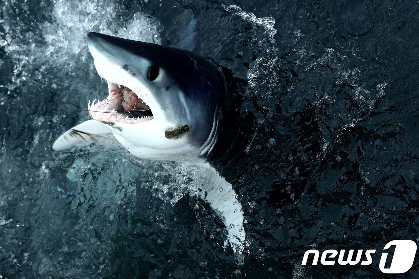 <자료사진> ⓒ AFP=뉴스1