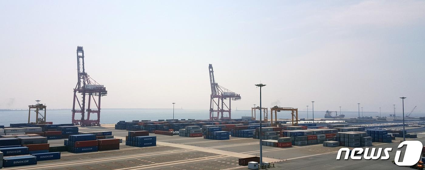 본문 이미지 - 지난 4월 경상수지가 반도체 수출 부진 등으로 상품수지 흑자가 축소되면서 7년 만에 적자로 돌아선 가운데 5일 경북 포항시 북구 흥해읍 영일망항 컨터이너부두에 있는 크레인들이 멈춰 있다.(포항영일신항(주)제공)2019.6.5 ⓒ 뉴스1 최창호 기자