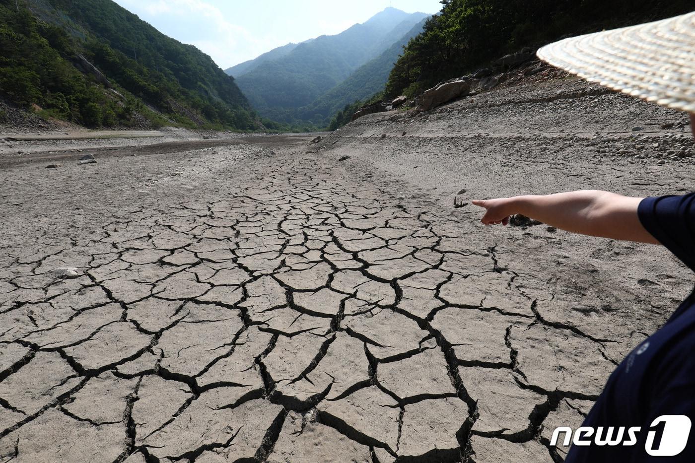 5일 강원도 강릉시 최대 상수원인 오봉저수지 상류가 말라 거북등처럼 바닥을 드러내고 있다. 2019.6.5/뉴스1 ⓒ News1 서근영 기자