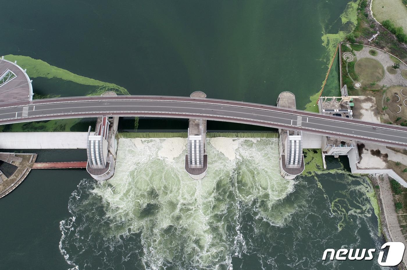 낙동강 강정고령보. &lt;자료사진&gt; 2019.7.1/뉴스1 ⓒ News1 공정식 기자