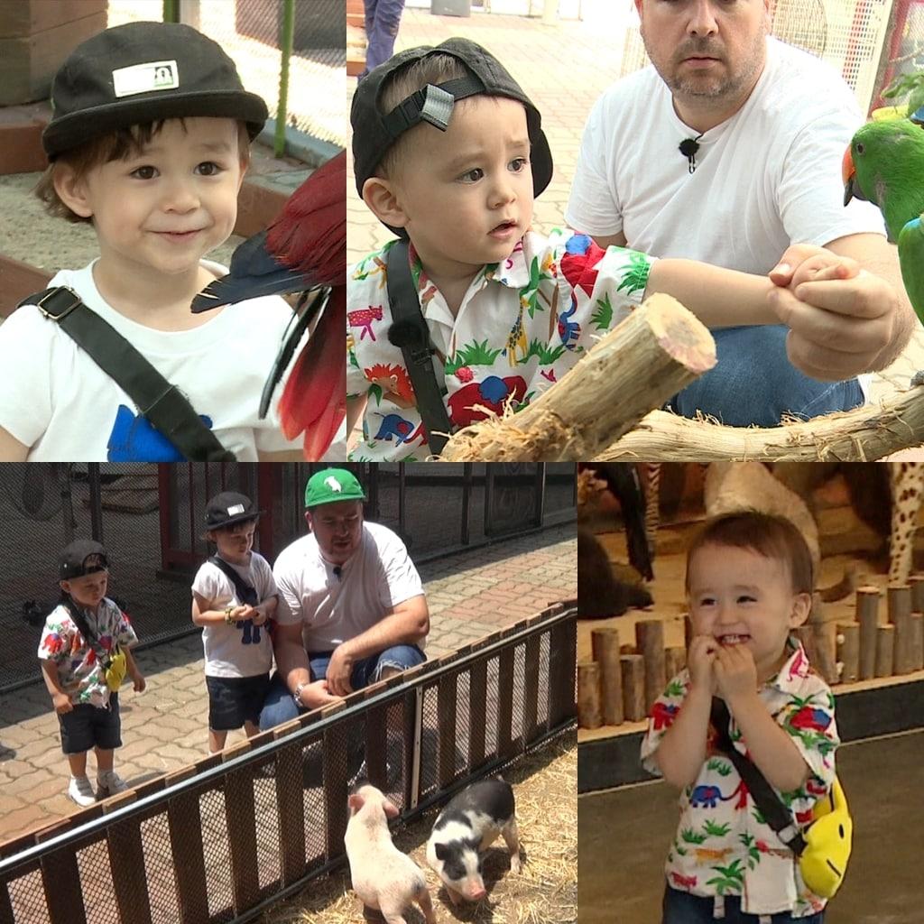 본문 이미지 - KBS 2TV ⓒ 뉴스1