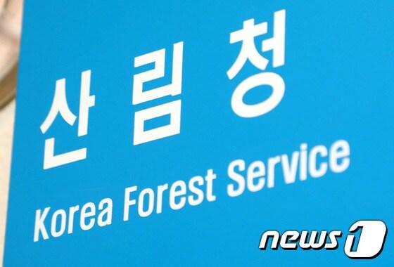 본문 이미지 - ⓒ 뉴스1