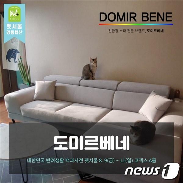 본문 이미지 - 친환경 소파 브랜드 '도미르베네', 사진 펫서울 제공 ⓒ 뉴스1