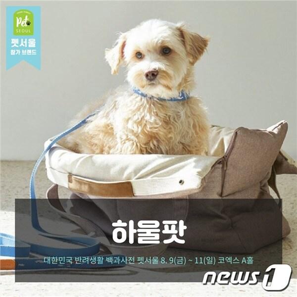 본문 이미지 - '하울팟' ⓒ 뉴스1