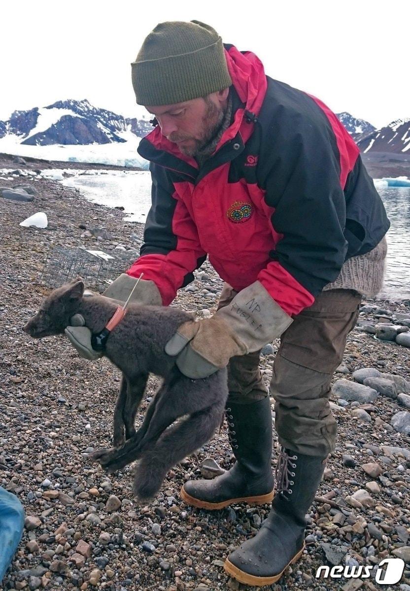 본문 이미지 - 노르웨이 극지연구소 트위터. ⓒ 뉴스1