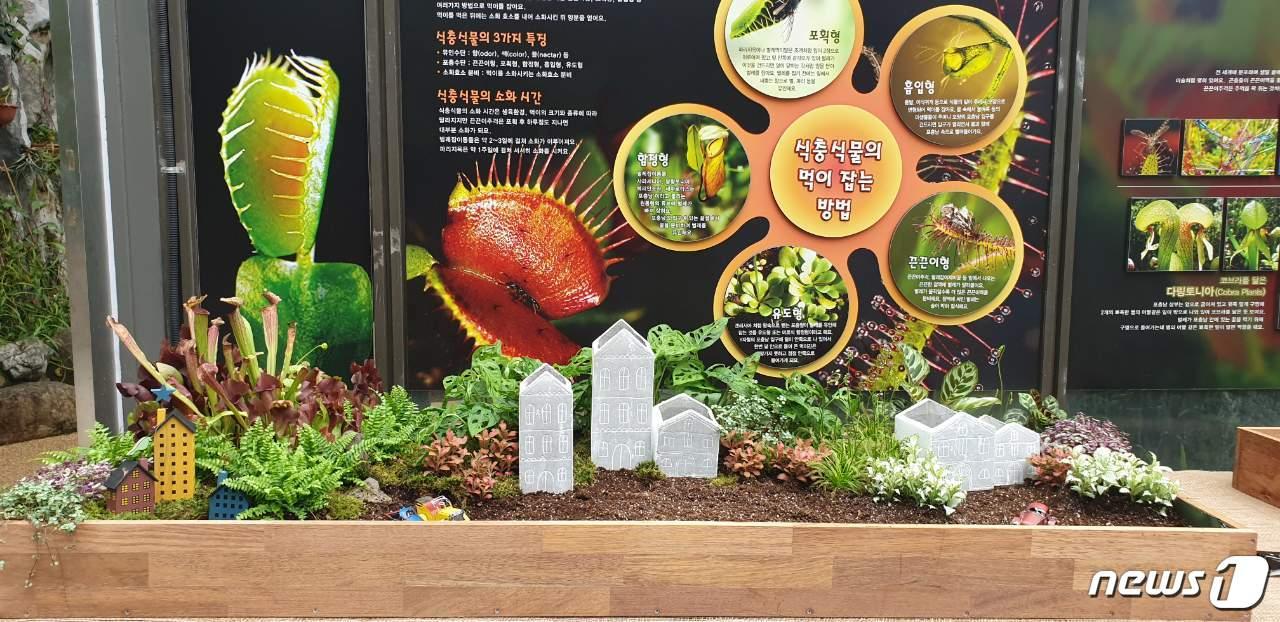 본문 이미지 - 서울대공원 식충식물 전시회 파리지옥 전시부스.(서울시 제공) ⓒ 뉴스1