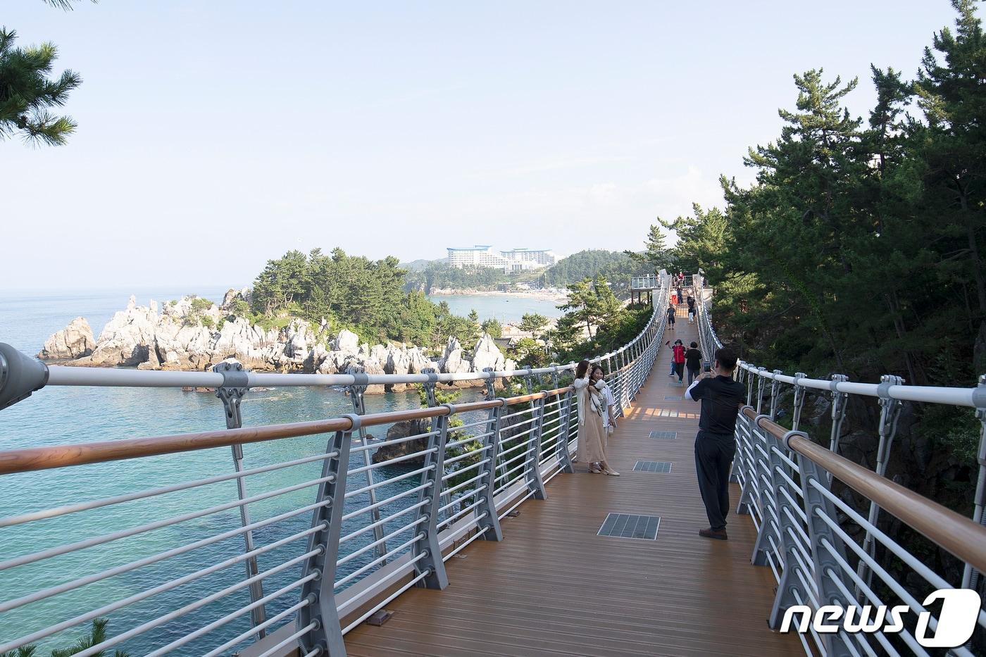 본문 이미지 - 동해시 추암해변 출렁다리 자료사진.(뉴스1 DB)