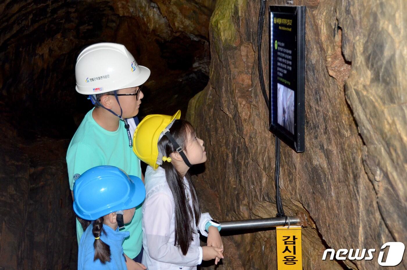 고씨굴 자료 사진. ⓒ News1