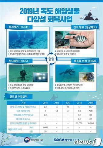 본문 이미지 - ⓒ 뉴스1