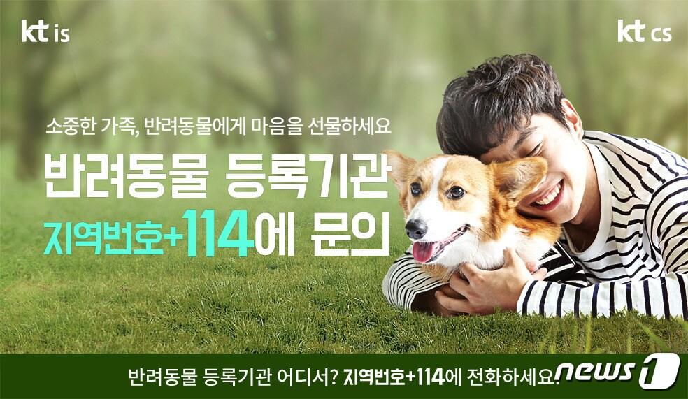 본문 이미지 - KT IS와 KT CS가 지역별 반려동물 등록 기관 및 유기동물 보호센터 전화번호를 안내한다. ⓒ 뉴스1