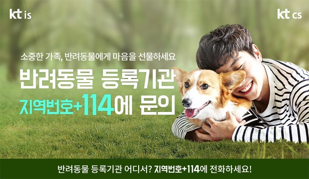 본문 이미지 - 번호안내 114는 지역별 반려동물 등록 기관 및 유기동물 보호센터의 전화번호를 안내한다고 밝혔다.ⓒ 뉴스1