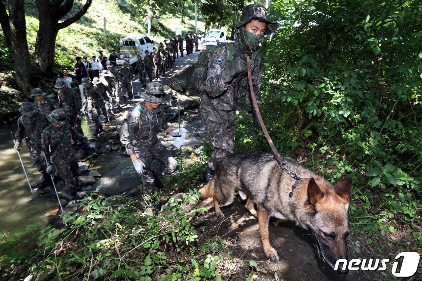 본문 이미지 - 산악수색 작전에 특화된 특공대와 기동대 장병들이 지난달 30일 오후 충북 청주시 상당구의 한 야산에서 실종된 조은누리양(14) 수색작업에 투입되고 있다. 2019.7.30 /뉴스1 ⓒ News1 김용빈 기자