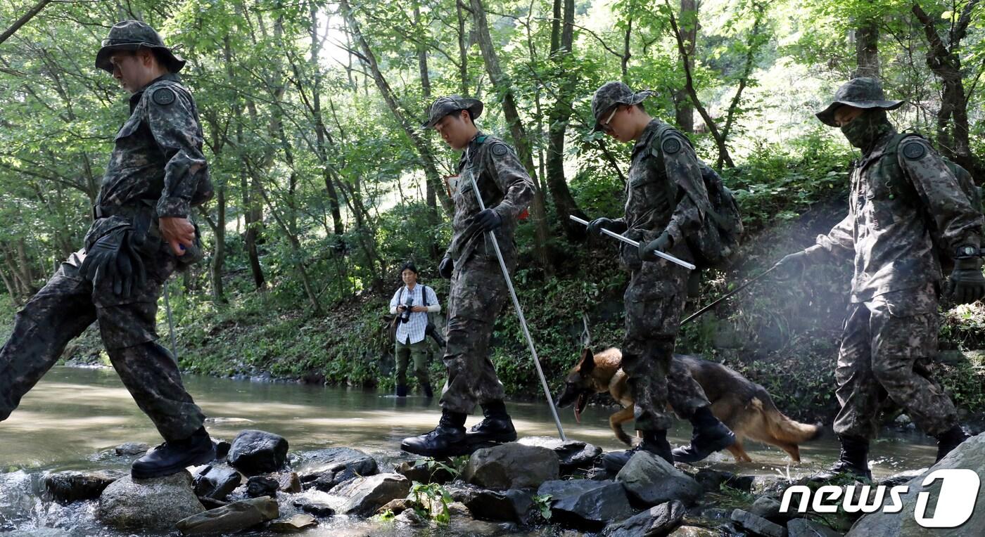 본문 이미지 - 산악수색 작전에 특화된 특공대와 기동대 장병들이 지난달 30일 오후 충북 청주시 상당구의 한 야산에서 실종된 조은누리양(14) 수색작업에 투입되고 있다. 2019.7.30 /뉴스1 ⓒ News1 김용빈 기자