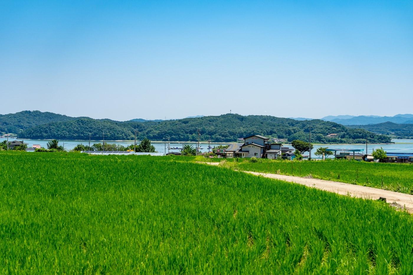 본문 이미지 - 충남 예산의  느린 꼬부랑길 01코스 옛이야기길. 이하 한국관광공사 제공