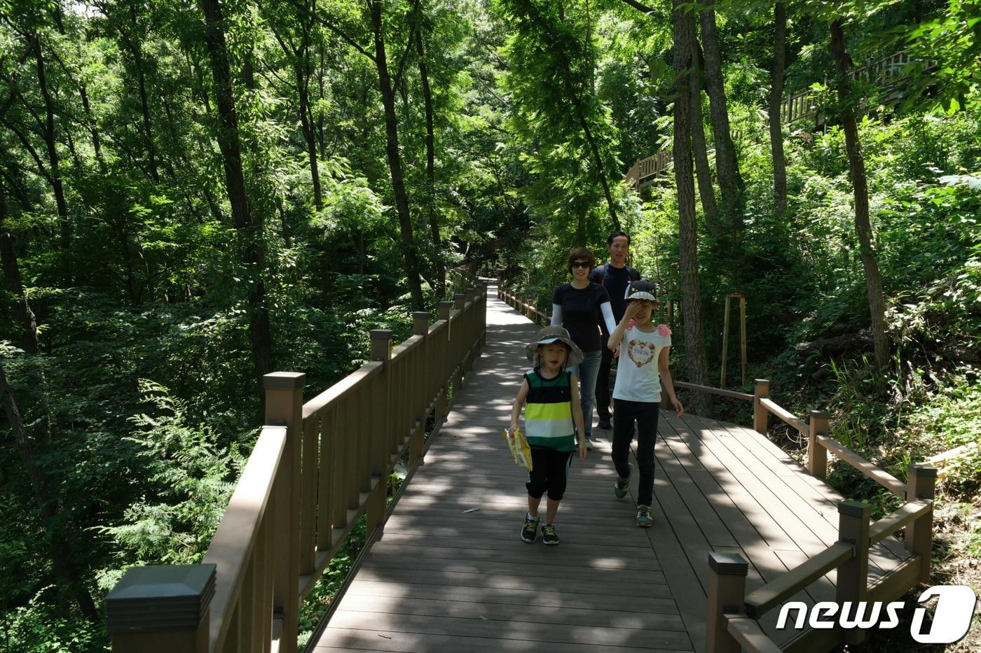 본문 이미지 - 제암산 휴양림 더늠길.(보성군 제공) /뉴스1 ⓒ News1