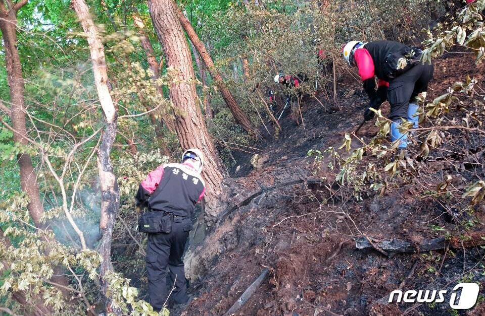 본문 이미지 - 산불재난 특수진화대가 산불진화 마무리 작업을  하고있다.(북부지방산림청제공)2019.7.30/뉴스1