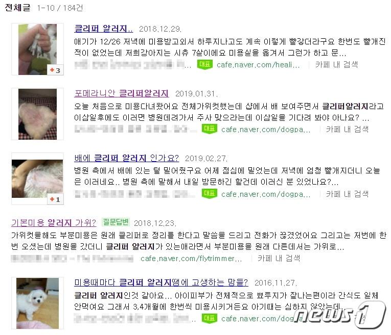 본문 이미지 - 미용후 반려견이 '클리퍼 알레르기'인 것 같다며 카더라 정보를 공유하는 보호자들이 적지 않다. (사진 클리퍼알레르기 검색 결과 캡처)ⓒ 뉴스1