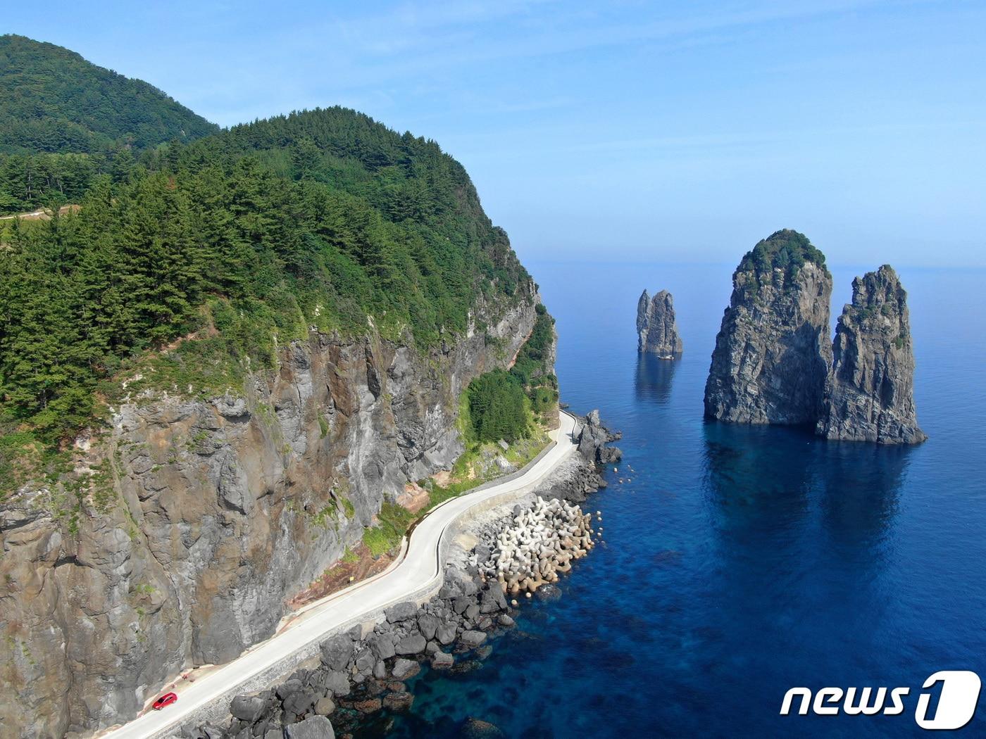 본문 이미지 - 해발 90m가량 되는 절벽아래에 마련된 울릉도 일주도로. ⓒ News1 DB