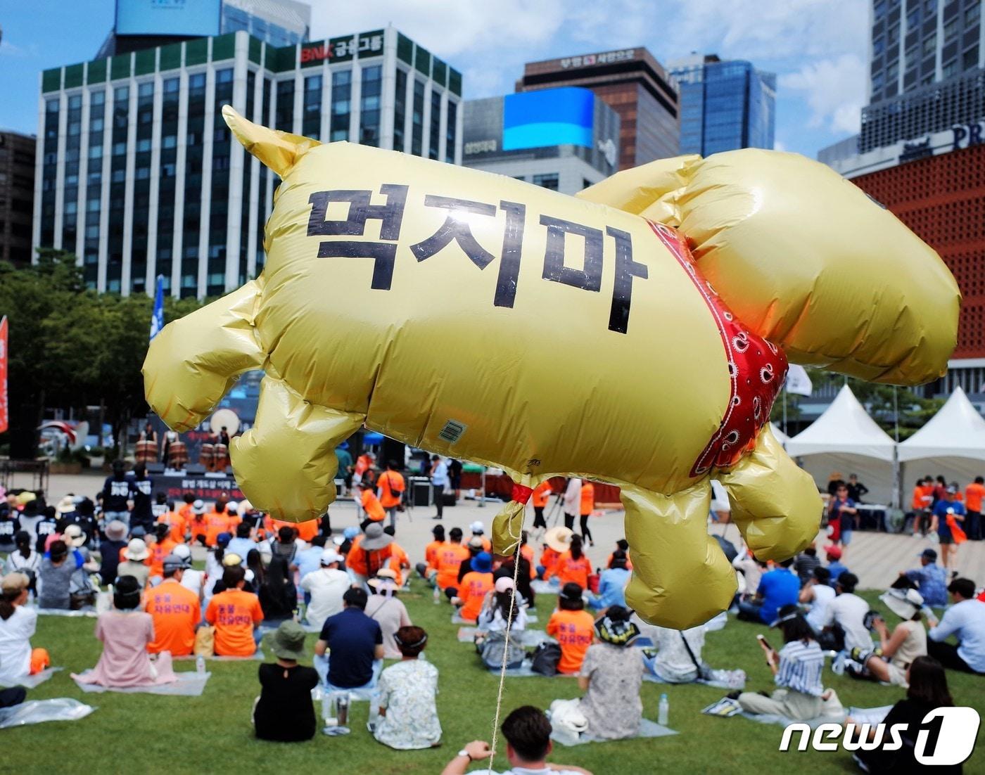 본문 이미지 - 초복인 12일을 닷새 앞둔 7일 낮 1시 서울 중구 시청광장에서 동물보호시민단체 카라(kara), 동물자유연대 등이 '개식용 철폐 전국 대집회'를 열고 개 식용 종식을 촉구하고 있다. ⓒ News1 황덕현 기자
