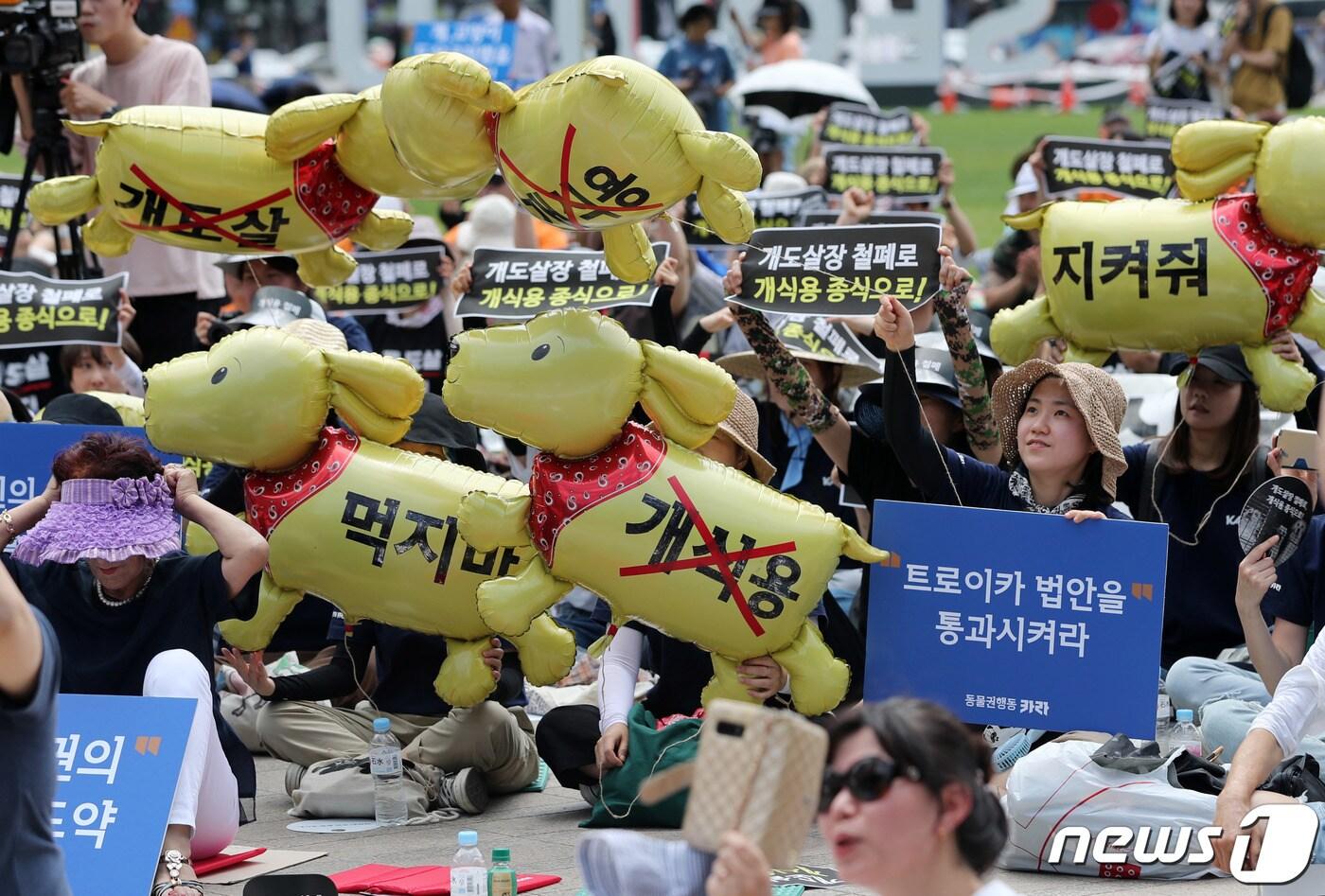 본문 이미지 - 초복을 닷새 앞둔 7일 오후 서울 중구 시청 앞 서울광장에서 동물보호시민단체 카라, 동물자유연대 등 동물단체 회원들이 '개식용 철폐 전국 대집회'를 갖고 개 식용 종식을 촉구하고 있다. 2019.7.7/뉴스1 ⓒ News1 박세연 기자