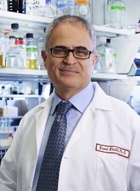 본문 이미지 - 크리스퍼 유전자가위(CRISPR-Cas9)를 이용해 에이즈 바이러스(HIV)를 제거한 템플대학교 의과대학 카멜 칼릴리(Kamel Khalili)교수(사진출처=템플대학교 홈페이지)ⓒ 뉴스1