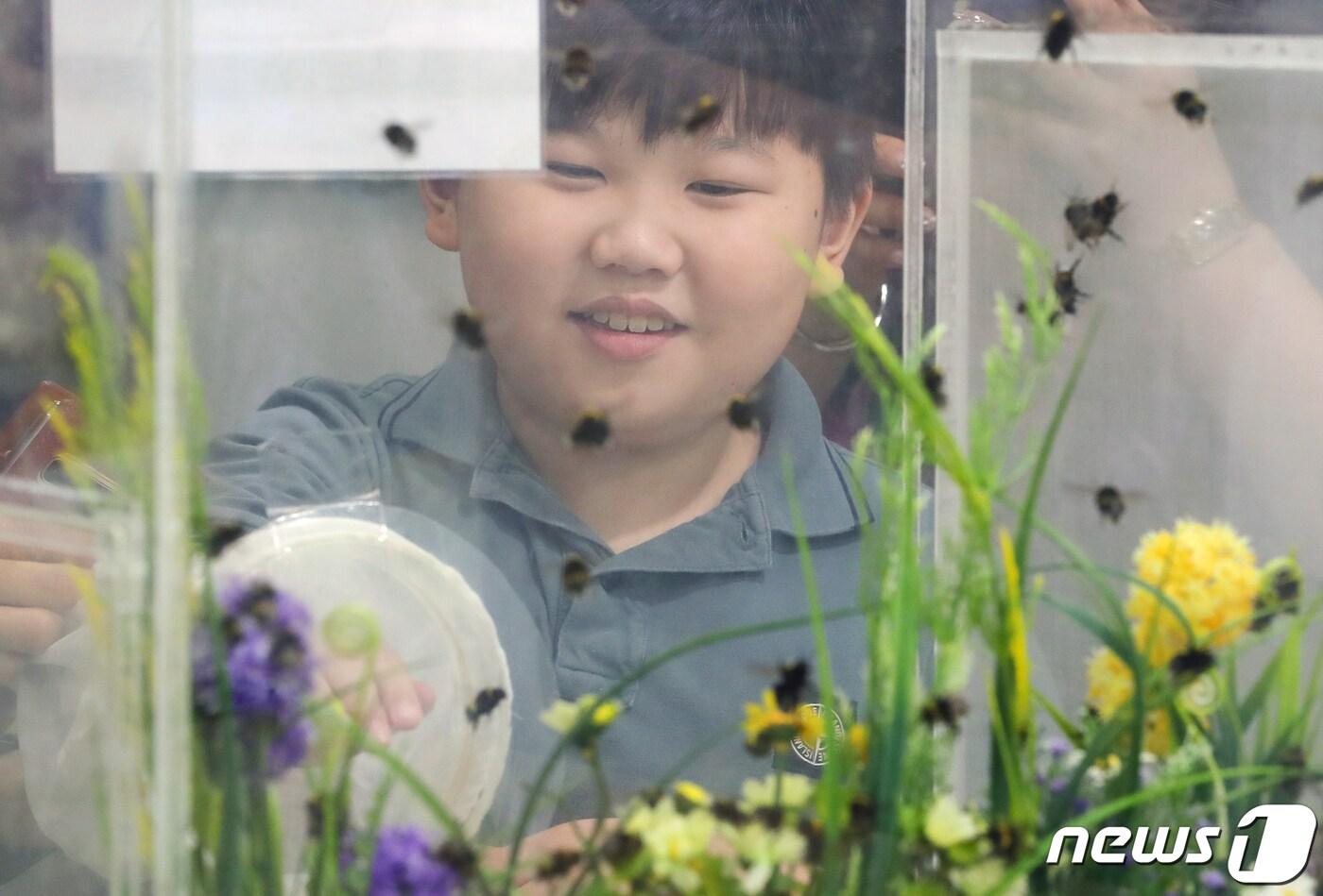 본문 이미지 -  2019.8.1/뉴스1 ⓒ News1 