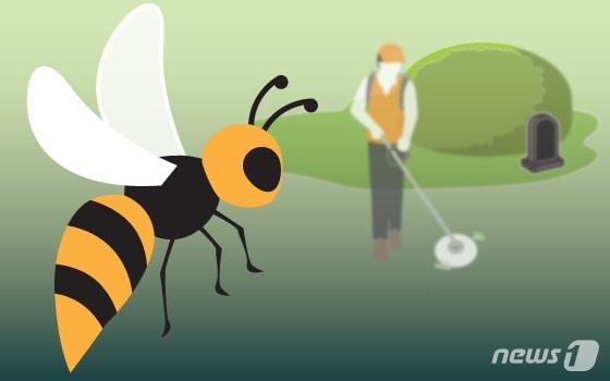 본문 이미지 - ⓒ News1 DB