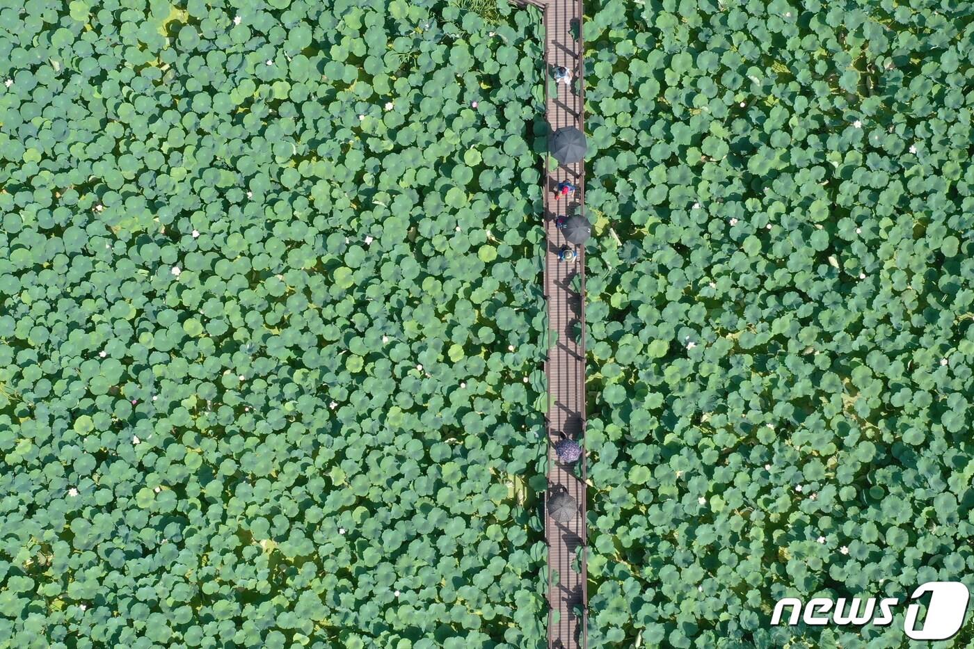 ⓒ News1 윤일지 기자