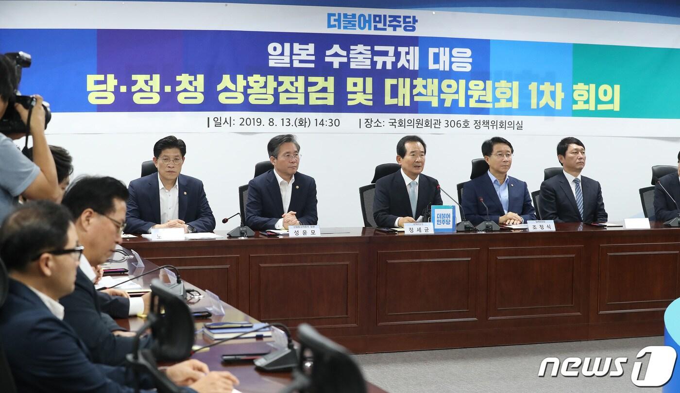 정세균 더불어민주당 부품·소재·장비·인력 발전 특별위원장이 13일 오후 서울 여의도 국회 의원회관에서 열린 일본수출규제 대응 당정청 상황점검 및 대책위원회 1차 회의에서 모두발언을 하고 있다. 2019.8.13/뉴스1 ⓒ News1 임세영 기자