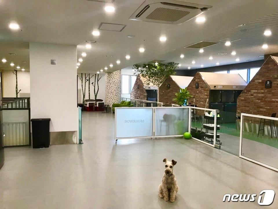 본문 이미지 - 바우라움 호텔과 유치원 ⓒ 뉴스1