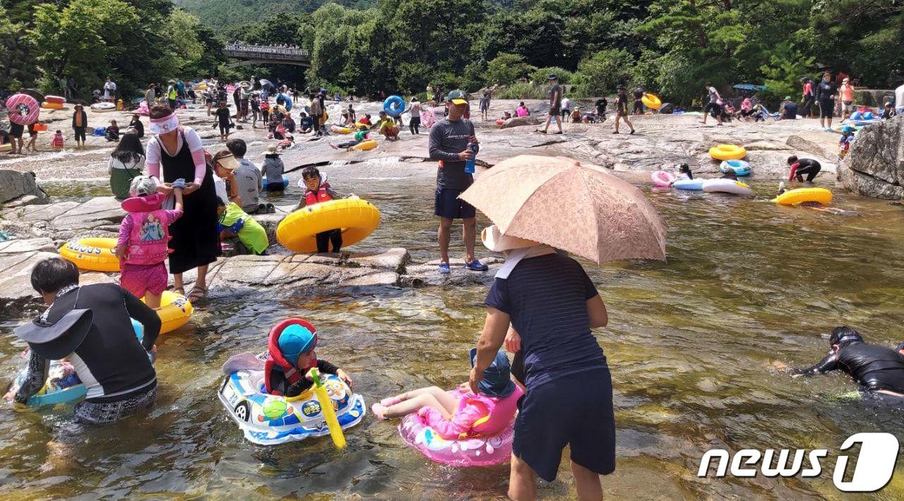 본문 이미지 - 동해시 지역 한 계곡. 기사 이해를 돕기 위한 사진으로, 기사와 직접적인 관련 없음.(뉴스1 DB)