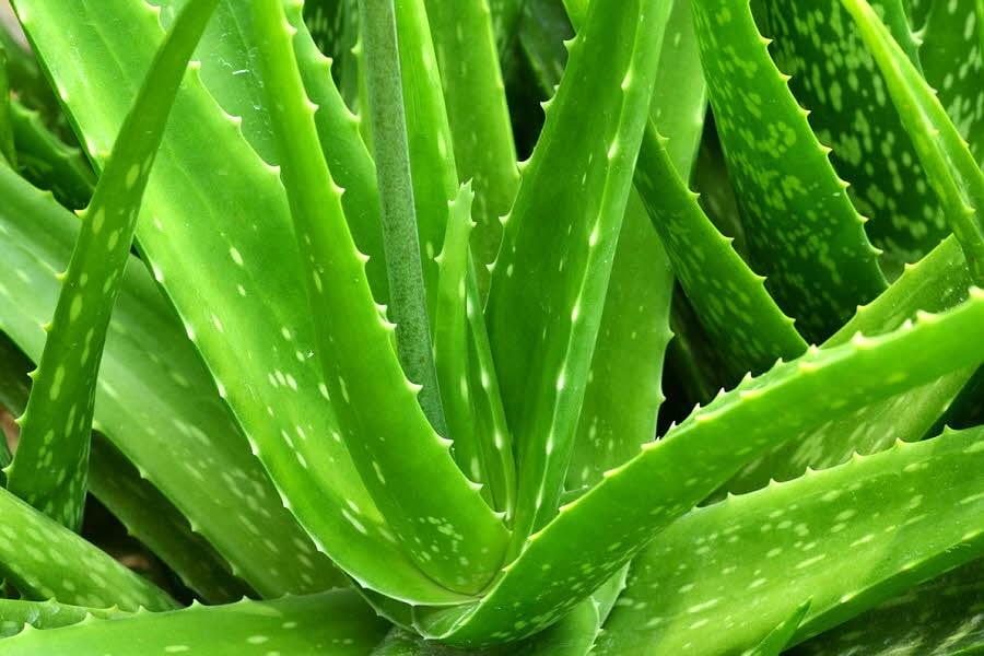 본문 이미지 - (사진=이미지투데이)  