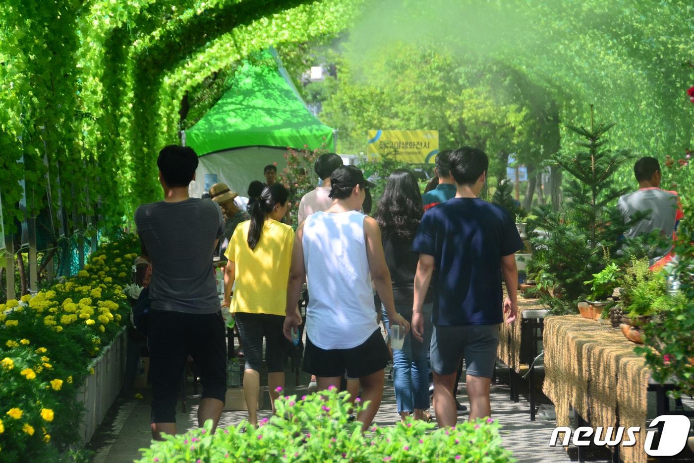 본문 이미지 - 2019 국토정중앙 양구 배꼽축제.(뉴스1 DB)