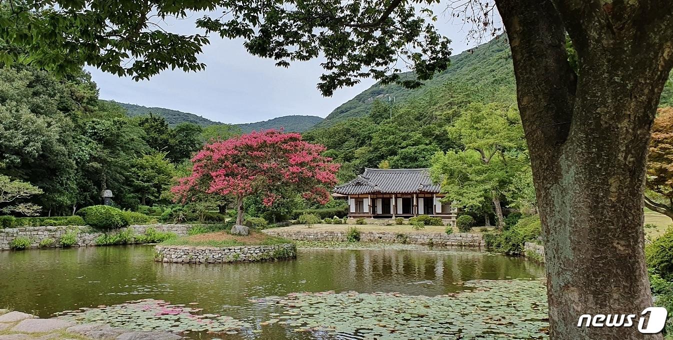 본문 이미지 - 진도 운림산방ⓒ 뉴스1