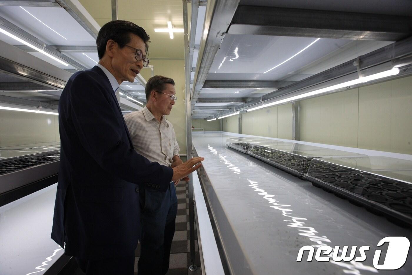 물고기와 채소를 함께 키우는 '아쿠아포닉스 농법'이 전북 고창의 한 농가에서 시작돼 관심을 끌고 있다.  유기상 고창군수가 성내면 소재 아로니아하우스 시설을 둘러보고 있다.ⓒ 뉴스1