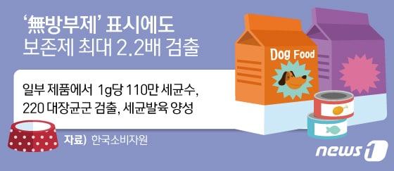 본문 이미지 - ⓒ News1 이은현 디자이너
