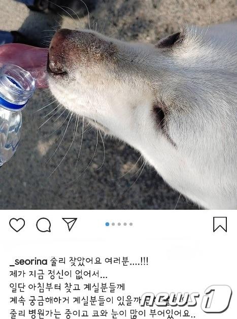 본문 이미지 - 배우 설인아 인스타그램 갈무리 ⓒ 뉴스1