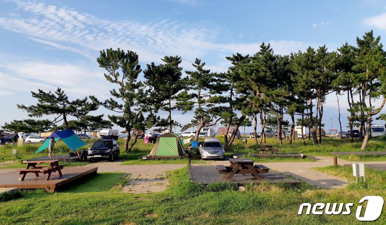 본문 이미지 - 지난 4월 산불 피해로 대부분의 시설이 소실된 강원도 동해시 망상제1오토캠핑장이 재운영 중인 모습. 2019.8.27/뉴스1 ⓒ News1 서근영 기자
