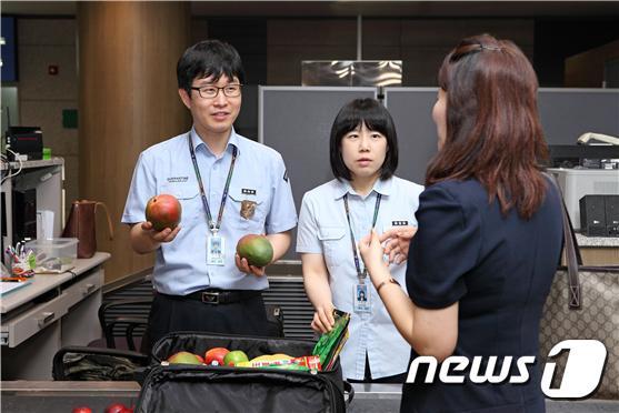 본문 이미지 - 인천공항 휴대 식물검역 현장(농림축산검역본부 제공)ⓒ 뉴스1