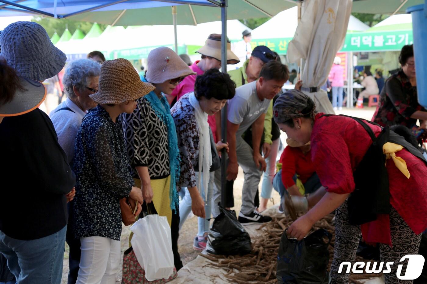 본문 이미지 - 횡성더덕축제에서 판매되는 더덕.(자료사진)ⓒ News1 DB