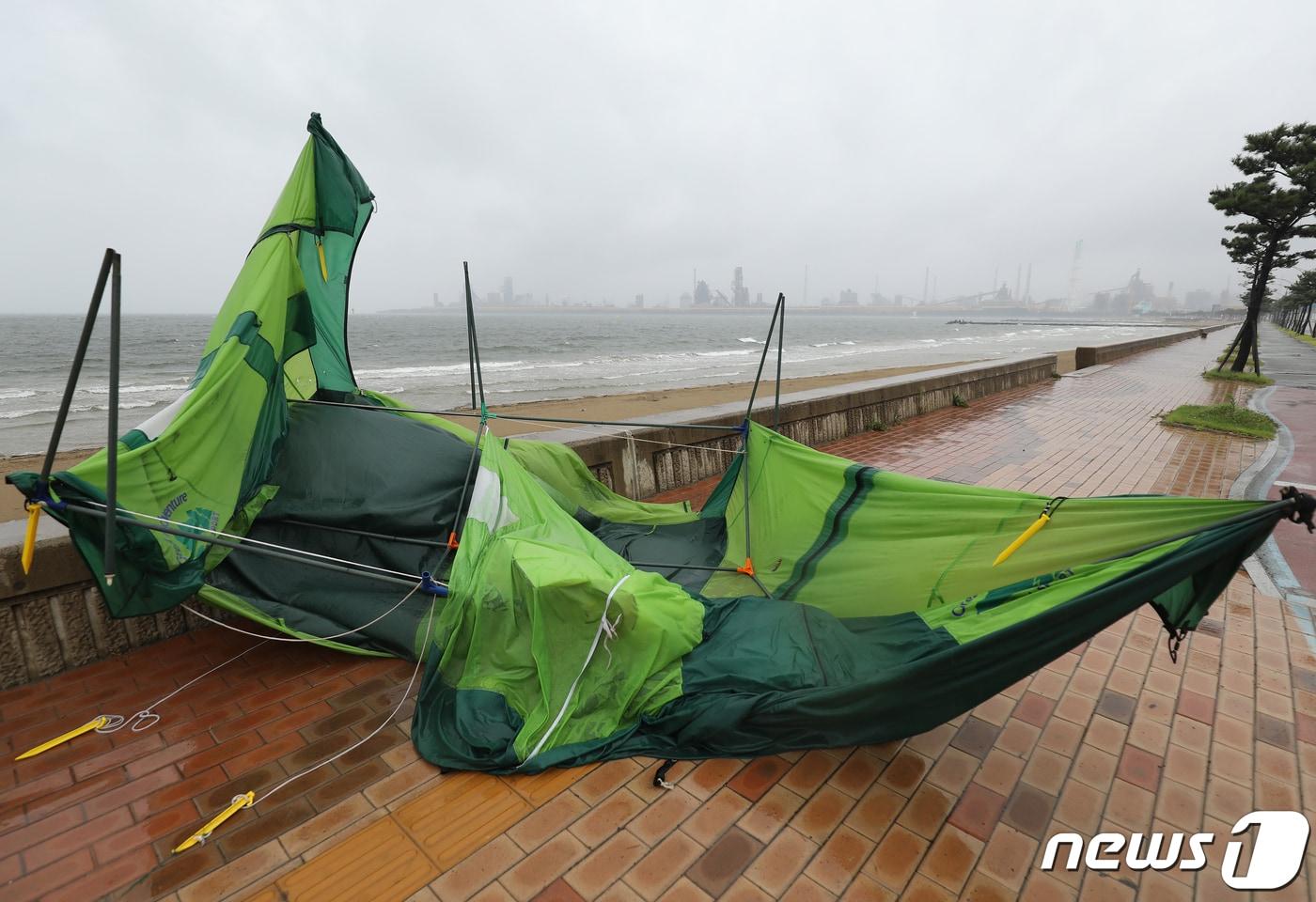 6일 오후 북상하는 제8호 태풍 프란시스코의 영향으로 비바람이 몰아치며 태풍주의보가 내려진 경북 포항시 남구 송도해수욕장 주변에 파손된 텐트가 뒹굴고 있다. 2019.8.6/뉴스1 ⓒ News1 공정식 기자