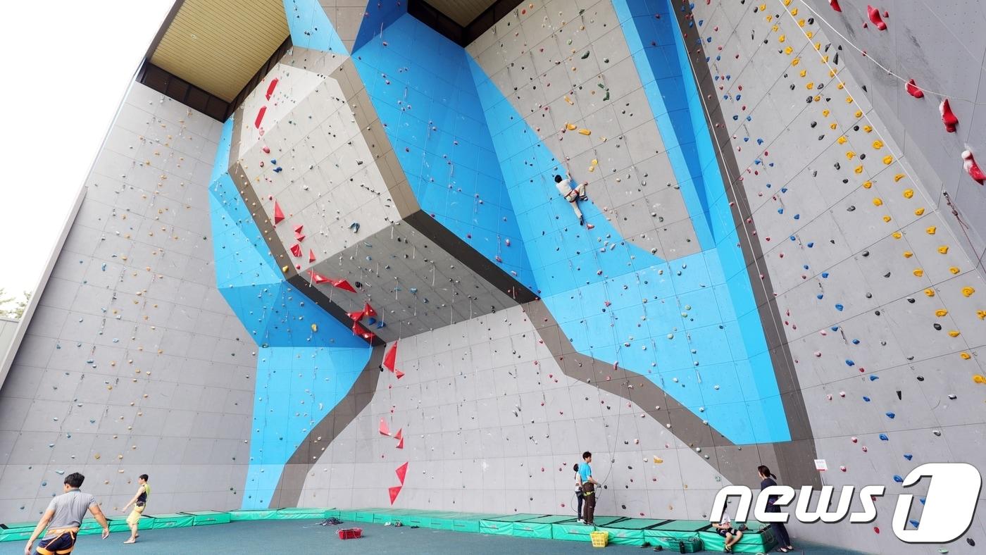 9일 전주 완산생활체육공원 실외 인공암벽장에서 리드 클라이밍을 즐기는 이용객들.(전주시설공단 제공)2019.8.9ⓒ 뉴스1