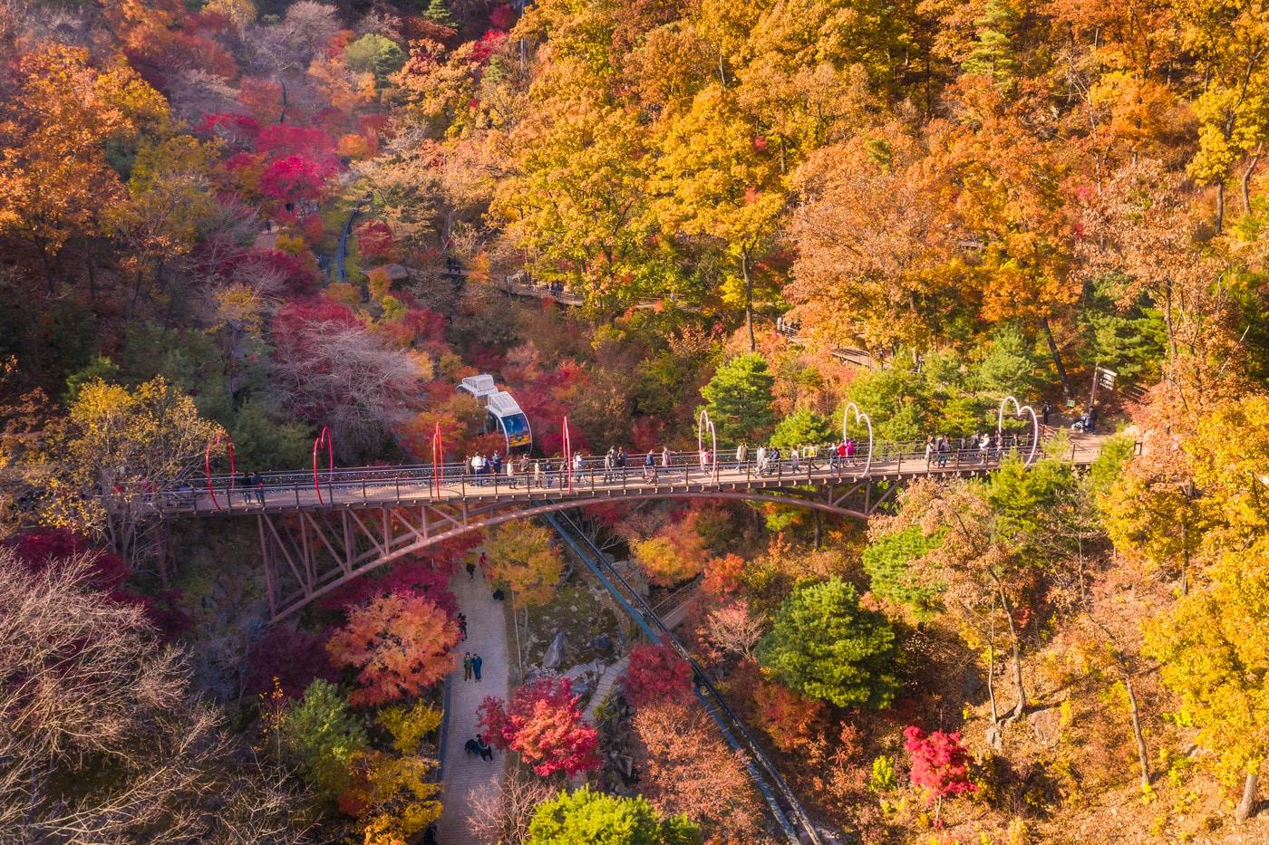본문 이미지 - 화담숲의 약속의 다리