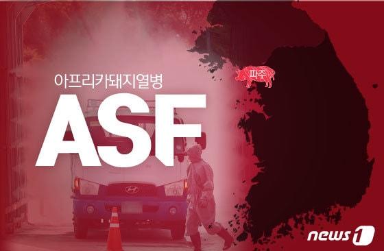 본문 이미지 - ⓒ 뉴스1 김일환 디자이너