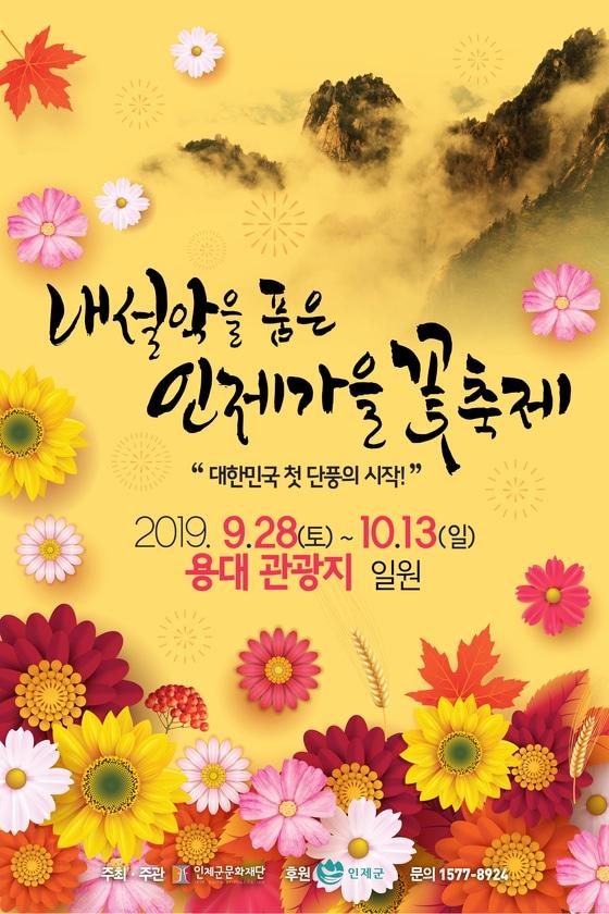 본문 이미지 - 인제가을 꽃 축제 포스터. ⓒ News1