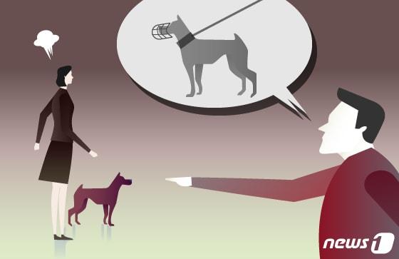 본문 이미지 - ⓒ News1 DB