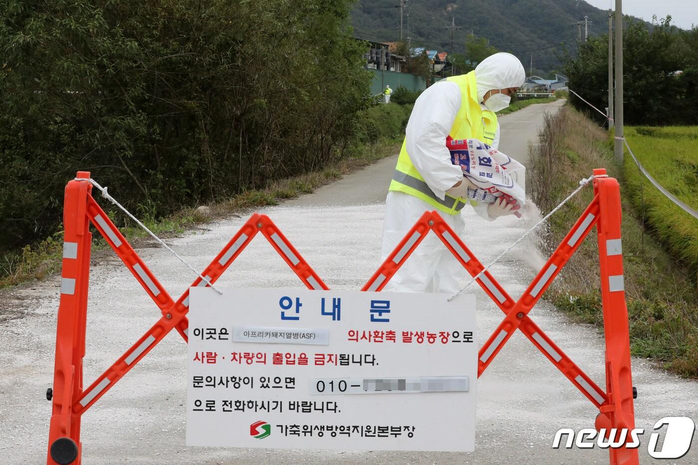 본문 이미지 - 뉴스1DB